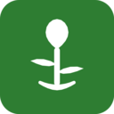 The Seed